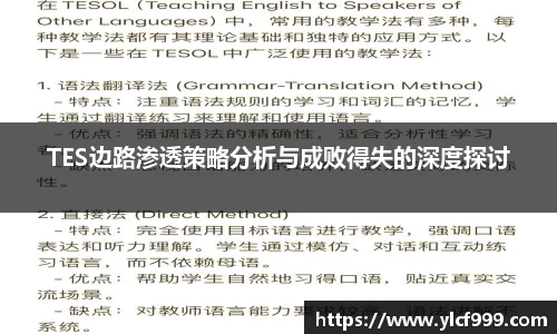 TES边路渗透策略分析与成败得失的深度探讨